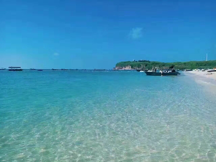 �V�����������������ލu