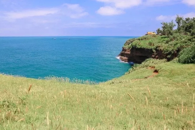 �V�����������������ލu