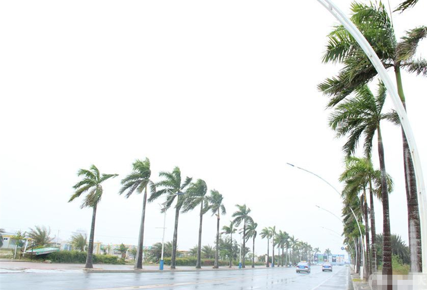 �V���������������_�L