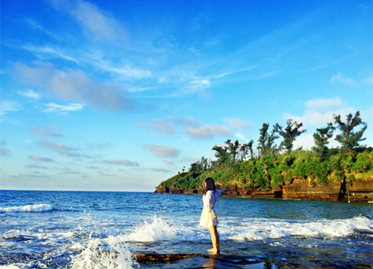 �V�����������������ލu����