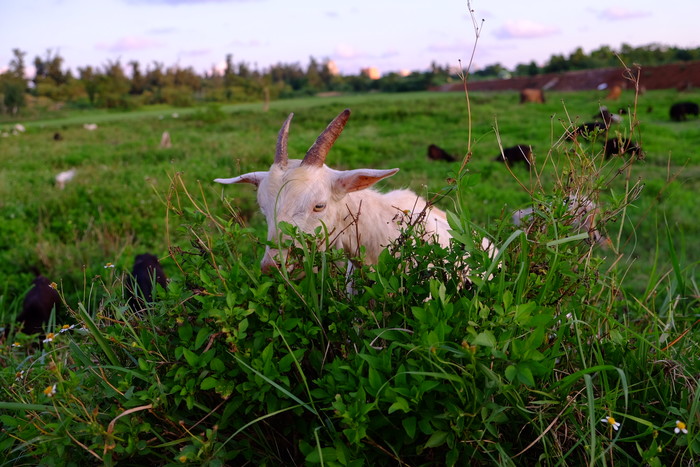 �V�����������������ލu����