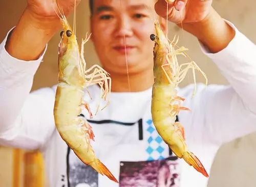 �V�����������������r