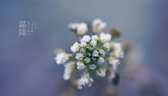 �V���������������������