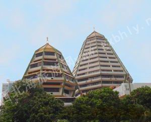 �����ʶ���Ƶ�