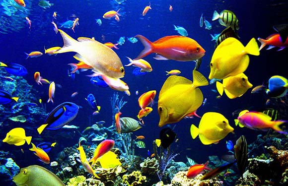 ����֮��֮��