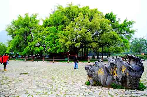 ���Ř��L(f��ng)���^(q��)